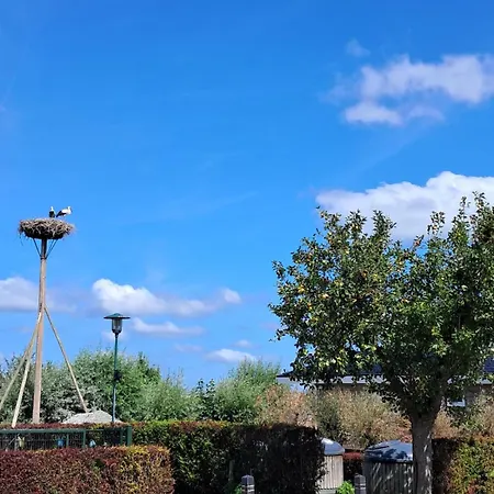 Holiday home Cube Xl 89 I 6 Persoons Op De Betuwe Zennewijnen