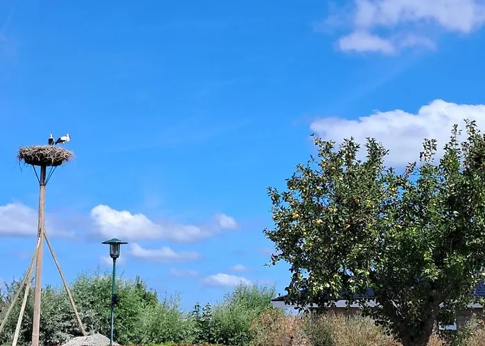 펜션 Cube Xl 89 I 6 Persoons Op De Betuwe Zennewijnen